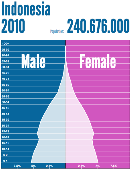 人口ピラミッド　インドネシア　2010　240.676.000