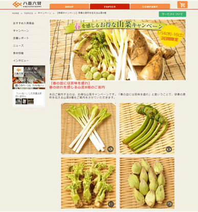 八面六臂