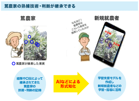 農業技術