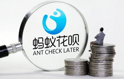 ANT CHECK LATER