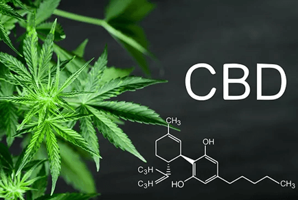 CBD